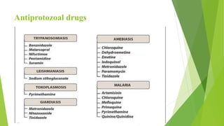 Antiprotozoal drugs
 