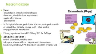 Metronidazole
 Uses :
-anaerobes in intra abdominal abscess
-bone and joint infections ,septicaemia
-peptic ulcer disease
-endometritis
• In Periapical abscess , periodontal abscess , acute pericoronitis
of impacted or partially erupted teeth : often used in
conjugation with Amoxicillin .
• Primary agent used in ANUG 500mg TID for 5-7days
 ADVERSE EFFECTS :
nausea ,diarrhoea ,metallic taste
infrequent adverse effects : hypersensitivity reactions,
headache ,vomiting , CNS toxicity in long term systemic use
 