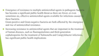  Emergence of resistance to multiple antimicrobial agents in pathogenic bacteria
has become a significant public health threat as there are fewer, or even
sometimes no, effective antimicrobial agents available for infections caused by
these bacteria.
Gram‐positive and Gram‐negative bacteria are both affected by the emergence
and rise of antimicrobial resistance.
 Increasing resistance to antimicrobial agents that are important in the treatment
of human diseases, such as fluoroquinolones and third-generation
cephalosporins for the treatment of Salmonella and Campylobacter infections,
has significant public health implications
 