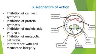 • Inhibition of cell wall
synthesis
• Inhibition of protein
synthesis
• Inhibition of nucleic acid
synthesis
• Inhibition of metabolic
pathways
• Interference with cell
membrane integrity
B. Mechanism of Action
 