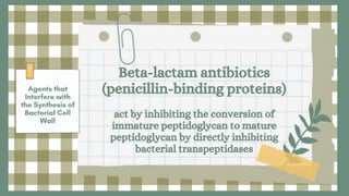 Beta-lactam antibiotics
(penicillin-binding proteins)
act by inhibiting the conversion of
immature peptidoglycan to mature
peptidoglycan by directly inhibiting
bacterial transpeptidases
 