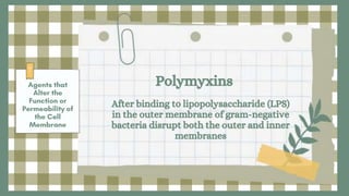 Polymyxins
After binding to lipopolysaccharide (LPS)
in the outer membrane of gram-negative
bacteria disrupt both the outer and inner
membranes
 