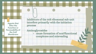 Inhibitors of the 30S ribosomal sub unit
interfere primarily with the initiation
process
Aminoglycosides
⚬ cause formation of non?functional
complexes and misreading
 