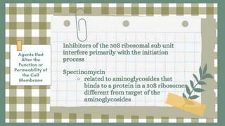 Inhibitors of the 30S ribosomal sub unit
interfere primarily with the initiation
process
Spectinomycin
⚬ related to aminoglycosides that
binds to a protein in a 30S ribosomes
different from target of the
aminoglycosides
 