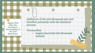 Inhibitors of the 30S ribosomal sub unit
interfere primarily with the initiation
process
Tetracycline
⚬ targets bacterial 30S ribosomal
subunit
 