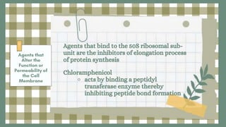 Agents that bind to the 50S ribosomal sub-
unit are the inhibitors of elongation process
of protein synthesis
Chloramphenicol
⚬ acts by binding a peptidyl
transferase enzyme thereby
inhibiting peptide bond formation
 