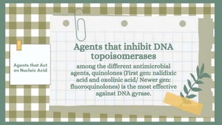 Agents that inhibit DNA
topoisomerases
among the different antimicrobial
agents, quinolones (First gen: nalidixic
acid and oxolinic acid/ Newer gen:
fluoroquinolones) is the most effective
against DNA gyrase.
 