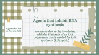 Agents that inhibit RNA
synthesis
are agents that act by interfering
with the B?subunit of an RNA
polymerase that is needed for RNA
synthesis. (Rifampicin)
 
