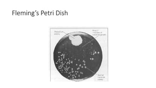 Fleming’s Petri Dish
 