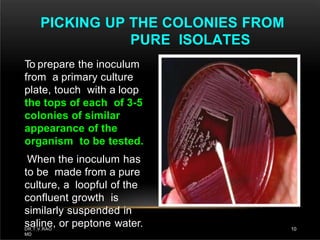 To prepare the inoculum
from a primary culture
plate, touch with a loop
the tops of each of 3-5
colonies of similar
appearance of the
organism to be tested.
When the inoculum has
to be made from a pure
culture, a loopful of the
confluent growth is
similarly suspended in
saline, or peptone water.
PICKING UP THE COLONIES FROM
PURE ISOLATES
DR.T.V.RAO
MD
10
 