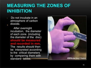 •
• Do not incubate in an
atmosphere of carbon
dioxide.
After overnight
incubation, the diameter
of each zone (including
the diameter of the disc)
should be measured
and recorded in mm.
The results should then
be interpreted according
to the critical diameters
by comparing them with
standard tables.
MEASURING THE ZONES OF
INHIBITION
16
 
