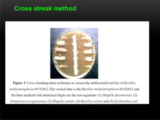Cross streak method
 