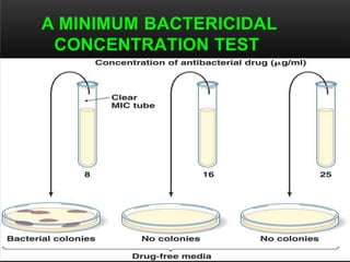 A MINIMUM BACTERICIDAL
CONCENTRATION TEST
Figure 10.12
 