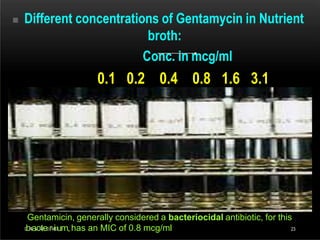  Different concentrations of Gentamycin in Nutrient
broth:
Conc. in mcg/ml
0.1 0.2 0.4 0.8 1.6 3.1
Gentamicin, generally considered a bacteriocidal antibiotic, for this
D
bR
.
T
a.
V
c.
R
tA
eOrMiDum,has an MIC of 0.8 mcg/ml 23
 