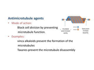 Antimicrotubule agents
• Mode of action:
Block cell division by preventing
microtubule function.
• Examples:
vinca alkaloids prevent the formation of the
microtubules
Taxanes prevent the microtubule disassembly
 