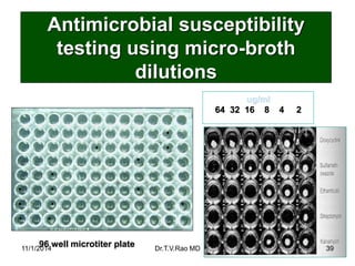 Antimicrobial susceptibilitytesting using micro-broth dilutions 
• 
• 
• 
• 
• 
• 
• 
• 
• 
• 
• 
• 
• 96 well microtiter ...