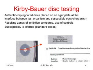 Kirby-Bauer disc testing 
Antibiotic-impregnated discs placed on an agar plate at the 
interface between test organism and...