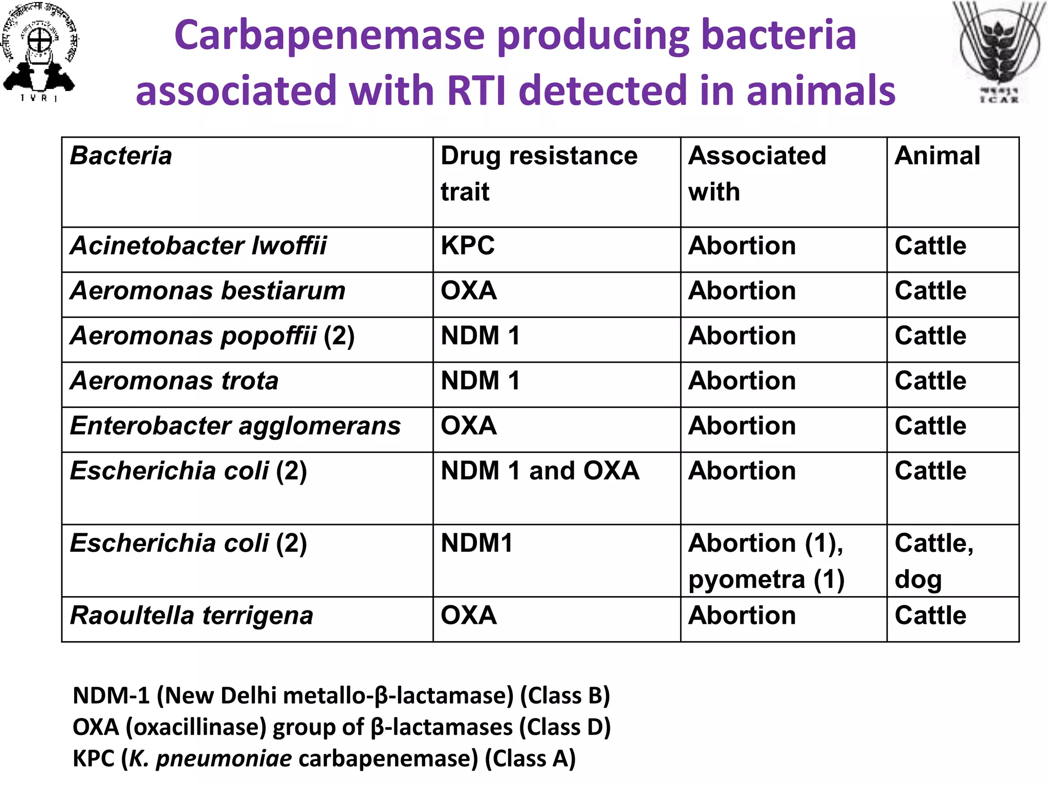 Bacteria Drug resistance
trait
Associated
with
Animal
Acinetobacter lwoffii KPC Abortion Cattle
Aeromonas bestiarum OXA Abortion Cattle
Aeromonas popoffii (2) NDM 1 Abortion Cattle
Aeromonas trota NDM 1 Abortion Cattle
Enterobacter agglomerans OXA Abortion Cattle
Escherichia coli (2) NDM 1 and OXA Abortion Cattle
Escherichia coli (2) NDM1 Abortion (1),
pyometra (1)
Cattle,
dog
Raoultella terrigena OXA Abortion Cattle
NDM-1 (New Delhi metallo-β-lactamase) (Class B)
OXA (oxacillinase) group of β-lactamases (Class D)
KPC (K. pneumoniae carbapenemase) (Class A)
Carbapenemase producing bacteria
associated with RTI detected in animals
 