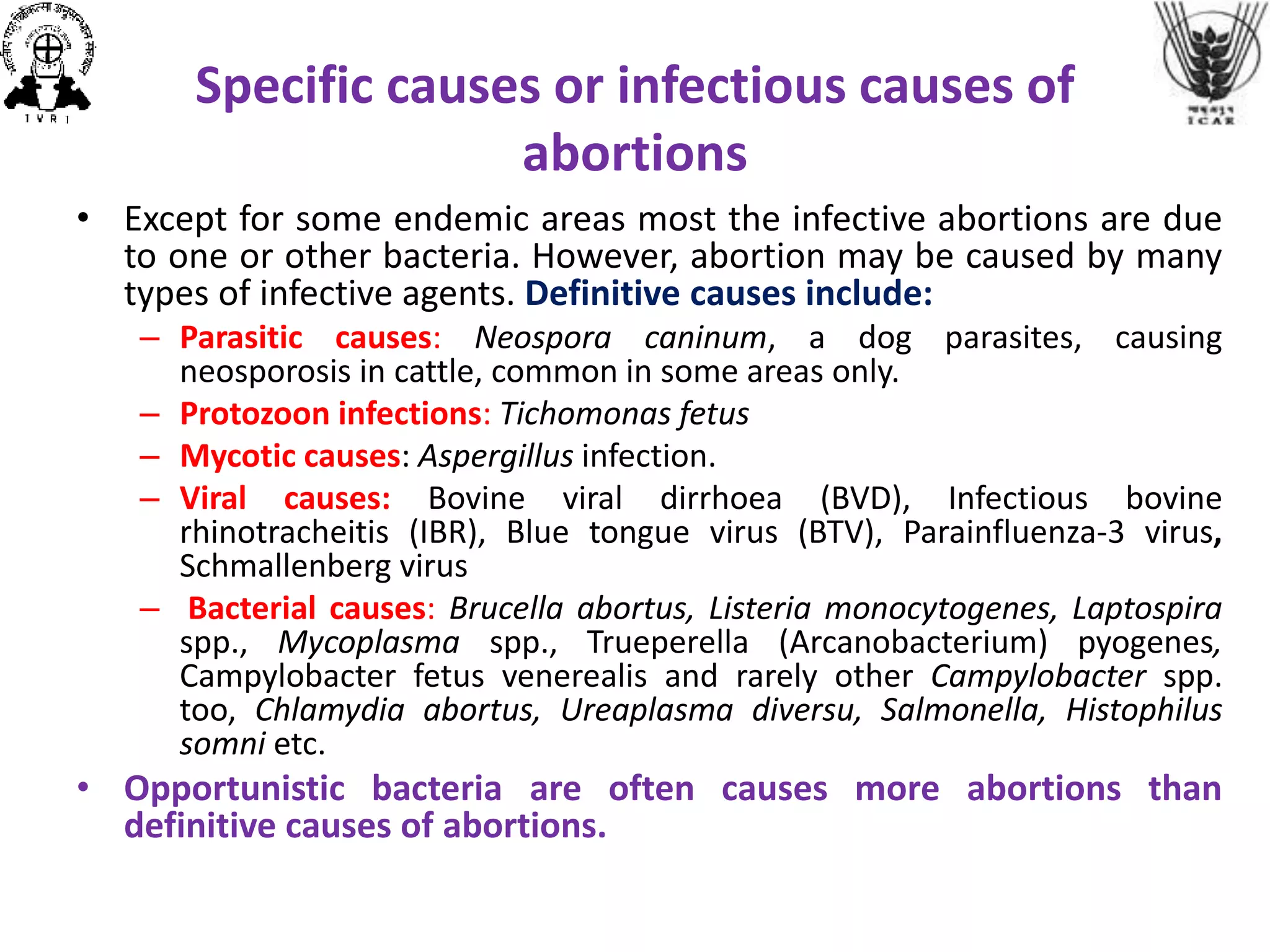 Specific causes or infectious causes of
abortions
• Except for some endemic areas most the infective abortions are due
to one or other bacteria. However, abortion may be caused by many
types of infective agents. Definitive causes include:
– Parasitic causes: Neospora caninum, a dog parasites, causing
neosporosis in cattle, common in some areas only.
– Protozoon infections: Tichomonas fetus
– Mycotic causes: Aspergillus infection.
– Viral causes: Bovine viral dirrhoea (BVD), Infectious bovine
rhinotracheitis (IBR), Blue tongue virus (BTV), Parainfluenza-3 virus,
Schmallenberg virus
– Bacterial causes: Brucella abortus, Listeria monocytogenes, Laptospira
spp., Mycoplasma spp., Trueperella (Arcanobacterium) pyogenes,
Campylobacter fetus venerealis and rarely other Campylobacter spp.
too, Chlamydia abortus, Ureaplasma diversu, Salmonella, Histophilus
somni etc.
• Opportunistic bacteria are often causes more abortions than
definitive causes of abortions.
 