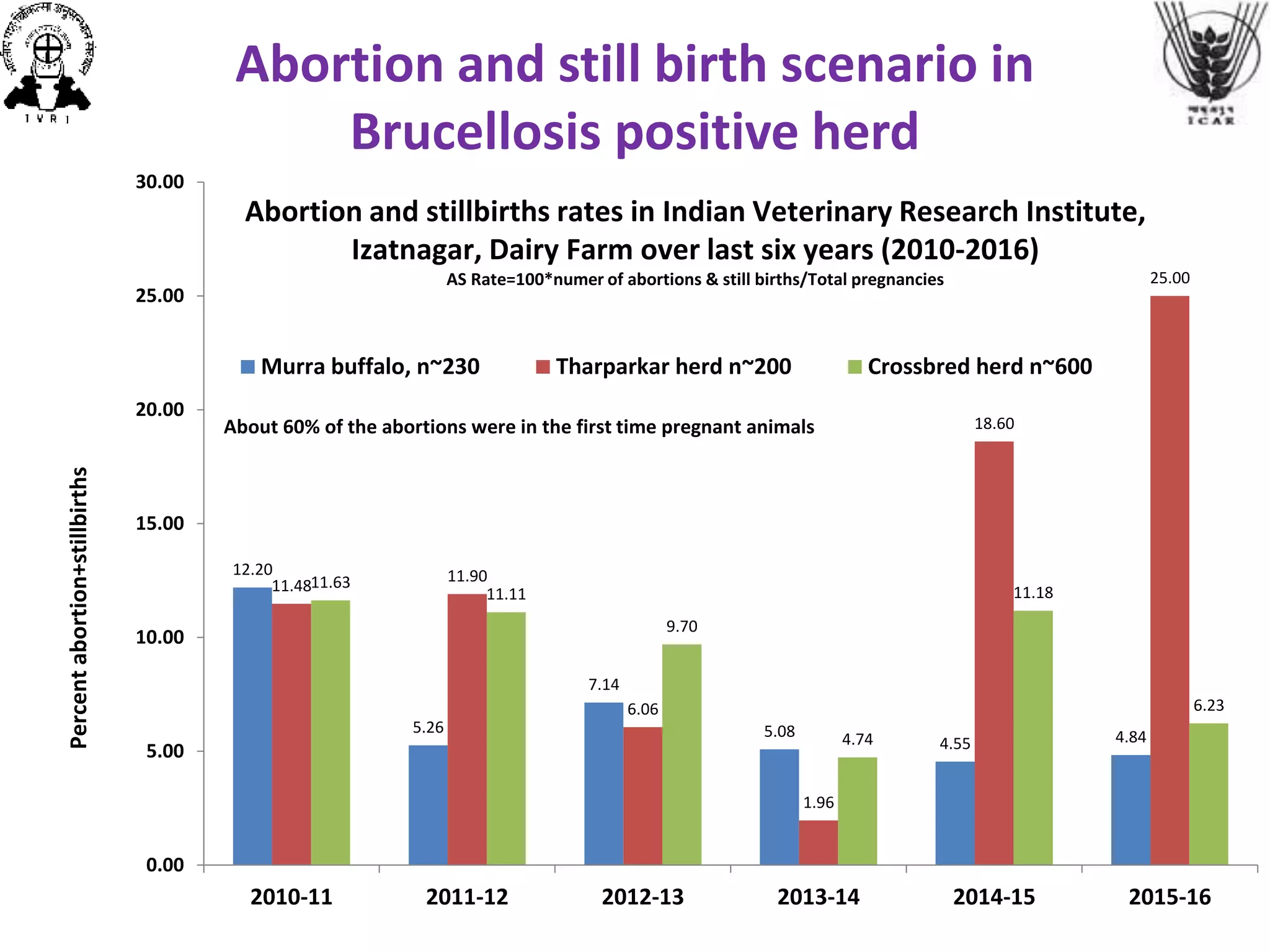 Abortion and still birth scenario in
Brucellosis positive herd
12.20
5.26
7.14
5.08
4.55 4.84
11.48
11.90
6.06
1.96
18.60
25.00
11.63
11.11
9.70
4.74
11.18
6.23
0.00
5.00
10.00
15.00
20.00
25.00
30.00
2010-11 2011-12 2012-13 2013-14 2014-15 2015-16
Murra buffalo, n~230 Tharparkar herd n~200 Crossbred herd n~600
Abortion and stillbirths rates in Indian Veterinary Research Institute,
Izatnagar, Dairy Farm over last six years (2010-2016)
AS Rate=100*numer of abortions & still births/Total pregnancies
Percentabortion+stillbirths
About 60% of the abortions were in the first time pregnant animals
 