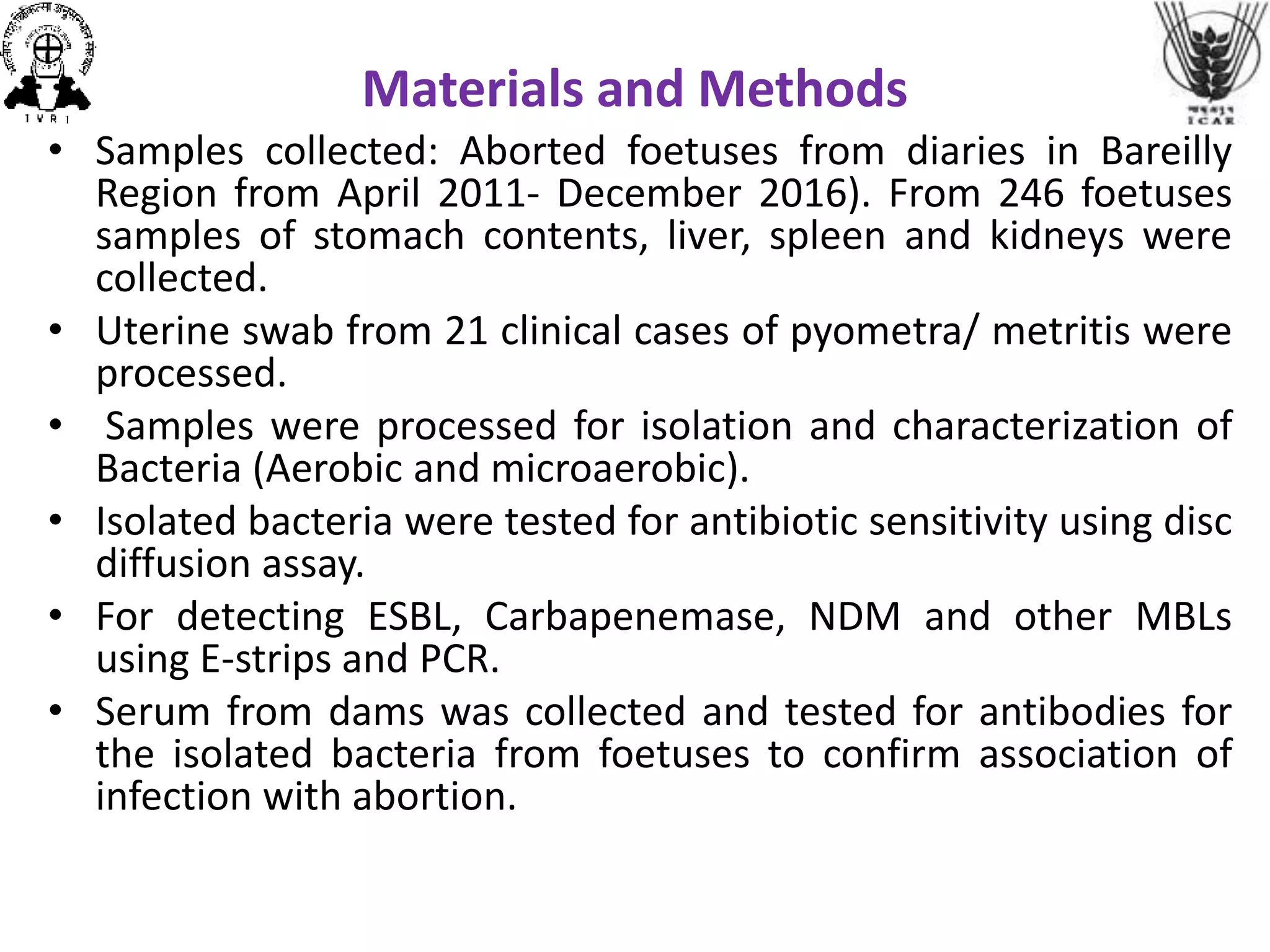 Materials and Methods
• Samples collected: Aborted foetuses from diaries in Bareilly
Region from April 2011- December 2016). From 246 foetuses
samples of stomach contents, liver, spleen and kidneys were
collected.
• Uterine swab from 21 clinical cases of pyometra/ metritis were
processed.
• Samples were processed for isolation and characterization of
Bacteria (Aerobic and microaerobic).
• Isolated bacteria were tested for antibiotic sensitivity using disc
diffusion assay.
• For detecting ESBL, Carbapenemase, NDM and other MBLs
using E-strips and PCR.
• Serum from dams was collected and tested for antibodies for
the isolated bacteria from foetuses to confirm association of
infection with abortion.
 