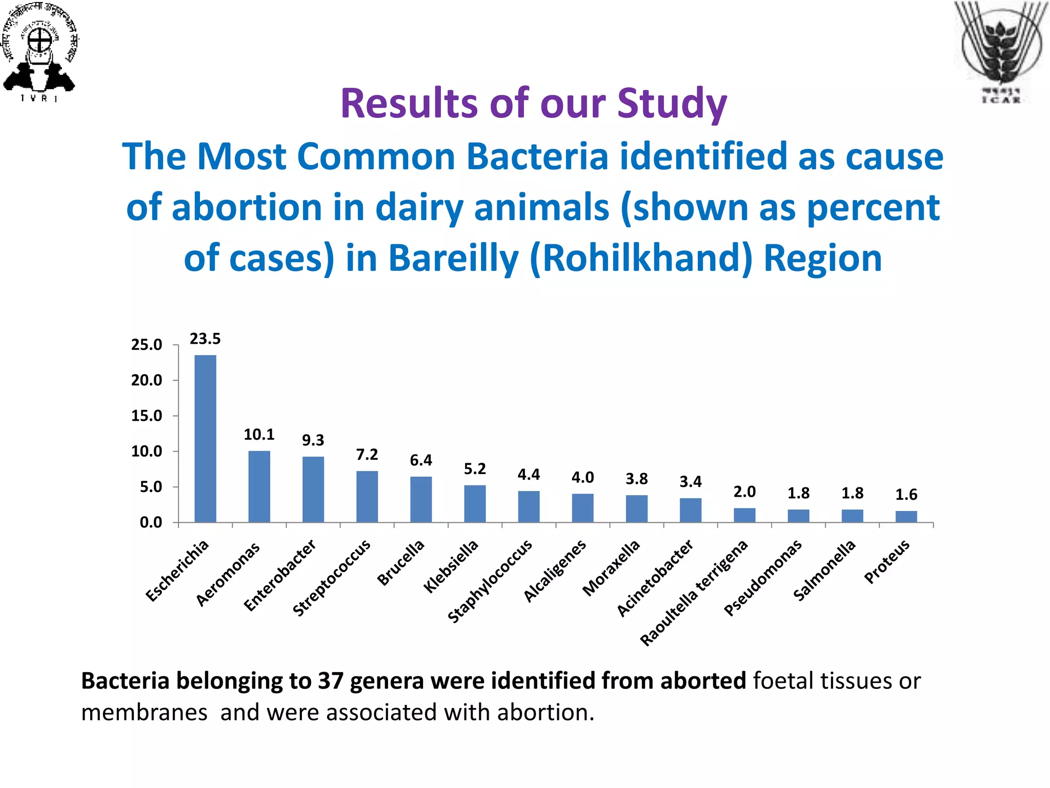 Results of our Study
The Most Common Bacteria identified as cause
of abortion in dairy animals (shown as percent
of cases) in Bareilly (Rohilkhand) Region
23.5
10.1 9.3
7.2 6.4 5.2 4.4 4.0 3.8 3.4
2.0 1.8 1.8 1.6
0.0
5.0
10.0
15.0
20.0
25.0
Bacteria belonging to 37 genera were identified from aborted foetal tissues or
membranes and were associated with abortion.
 