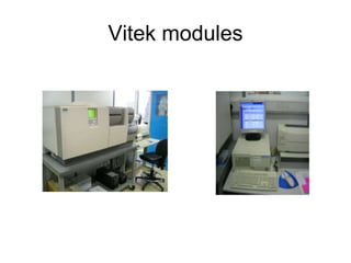 Antimicrobial drug sensitivity testing and therapeutic use in ...