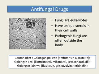 Antifungal Drugs
• Fungi are eukaryotes
• Have unique sterols in
their cell walls
• Pathogenic fungi are• Pathogenic fungi are
often outside the
body
Contoh obat : Golongan poliena (amfoterisin B, nistatin);
Golongan azol (klortrimazol, mikonazol, ketokonazol, dll);
Golongan lainnya (flusitosin, griseovulvin, terbinafin)
 