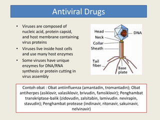 Antiviral Drugs
• Viruses are composed of
nucleic acid, protein capsid,
and host membrane containing
virus proteins
• Viruses live inside host cells
and use many host enzymes
• Some viruses have unique• Some viruses have unique
enzymes for DNA/RNA
synthesis or protein cutting in
virus assembly
Contoh obat : Obat antiinfluenza (amantadin, tromantadin); Obat
antiherpes (asiklovir, valasiklovir, brivudin, famsiklovir); Penghambat
transkriptase-balik (zidovudin, zalsitabin, lamivudin. nevirapin,
stavudin); Penghambat protease (indinavir, ritonavir, sakuinavir,
nelvinavir)
 