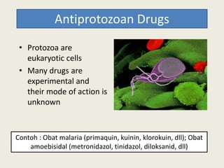 Antiprotozoan Drugs
• Protozoa are
eukaryotic cells
• Many drugs are
experimental andexperimental and
their mode of action is
unknown
Contoh : Obat malaria (primaquin, kuinin, klorokuin, dll); Obat
amoebisidal (metronidazol, tinidazol, diloksanid, dll)
 