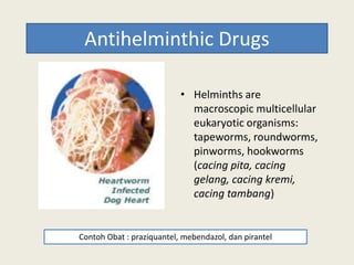 Antihelminthic Drugs
• Helminths are
macroscopic multicellular
eukaryotic organisms:
tapeworms, roundworms,tapeworms, roundworms,
pinworms, hookworms
(cacing pita, cacing
gelang, cacing kremi,
cacing tambang)
Contoh Obat : praziquantel, mebendazol, dan pirantel
 