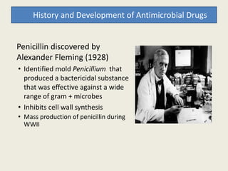 Penicillin discovered by
Alexander Fleming (1928)
• Identified mold Penicillium that
produced a bactericidal substance
that was effective against a wide
History and Development of Antimicrobial Drugs
that was effective against a wide
range of gram + microbes
• Inhibits cell wall synthesis
• Mass production of penicillin during
WWII
 