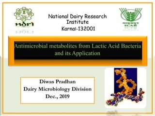 Antimicrobial metabolites from Lactic Acid Bacteria
and its Application
Diwas Pradhan
Dairy Microbiology Division
Dec., 2019
National Dairy Research
Institute
Karnal-132001
 