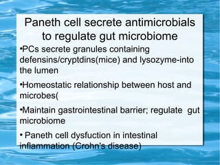 Paneth cell secrete antimicrobials
to regulate gut microbiome
●
PCs secrete granules containing
defensins/cryptdins(mice) and lysozyme-into
the lumen
●
Homeostatic relationship between host and
microbes(
●
Maintain gastrointestinal barrier; regulate gut
microbiome
●
Paneth cell dysfuction in intestinal
inflammation (Crohn's disease)
 
