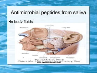 Antimicrobial peptides from saliva
●
In body fluids
 