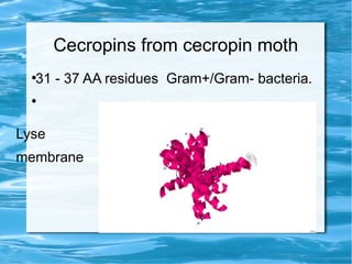 Cecropins from cecropin moth
●
31 - 37 AA residues Gram+/Gram- bacteria.
●
Lyse
membrane
 