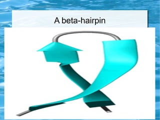A beta-hairpin
●
Image
 
