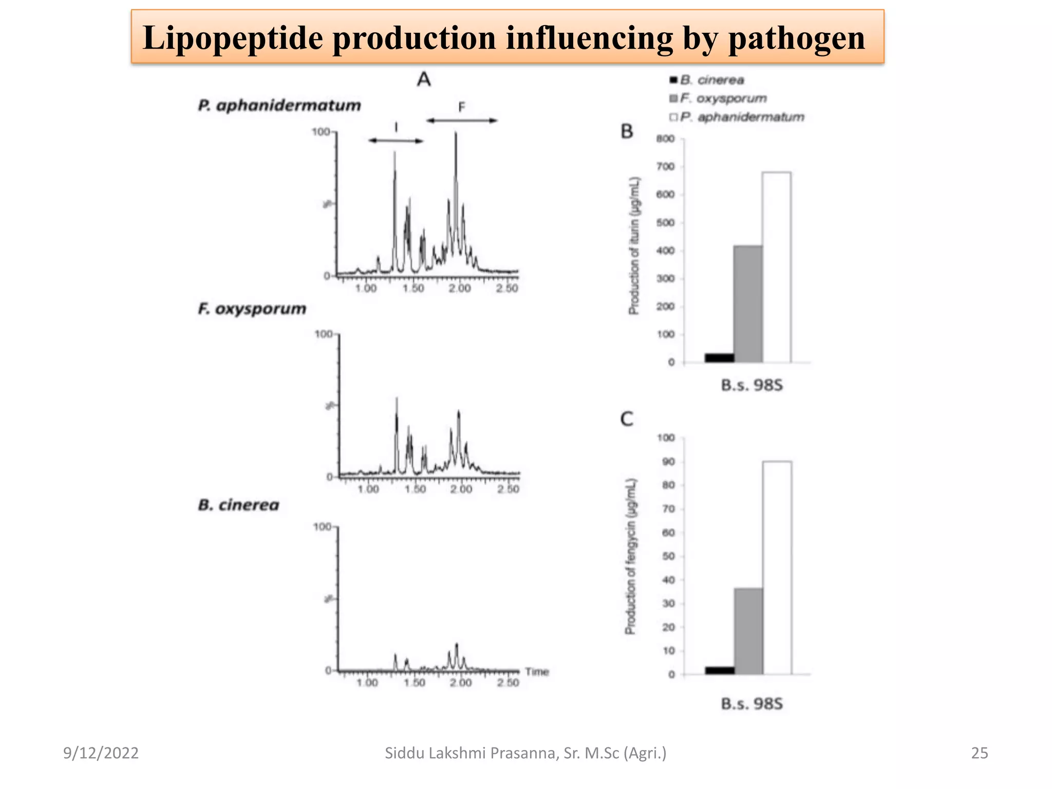 9/12/2022 Siddu Lakshmi Prasanna, Sr. M.Sc (Agri.) 25
Lipopeptide production influencing by pathogen
 