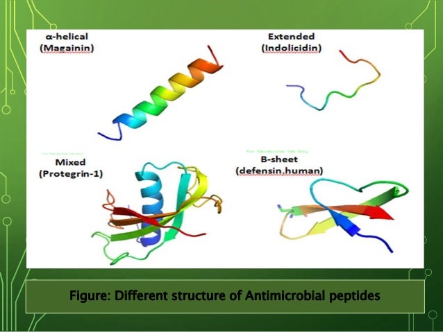 antimikrobielle peptide dissertation