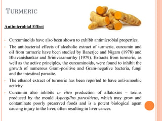 Turmeric Activity Antimicrobial Properties of Spices by Komal Bhadoria | PDF