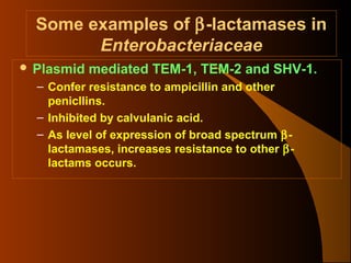 Some examples of β-lactamases in
Enterobacteriaceae
 Plasmid

mediated TEM-1, TEM-2 and SHV-1.

– Confer resistance to ampicillin and other
penicllins.
– Inhibited by calvulanic acid.
– As level of expression of broad spectrum βlactamases, increases resistance to other βlactams occurs.

 