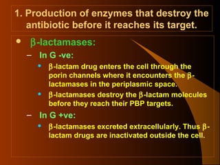 1. Production of enzymes that destroy the
antibiotic before it reaches its target.


β-lactamases:
– In G -ve:




β-lactam drug enters the cell through the
porin channels where it encounters the βlactamases in the periplasmic space.
β-lactamases destroy the β-lactam molecules
before they reach their PBP targets.

– In G +ve:


β-lactamases excreted extracellularly. Thus βlactam drugs are inactivated outside the cell.

 