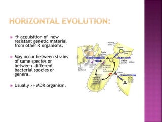   acquisition of new
resistant genetic material
from other R organisms.
 May occur between strains
of same species or
between different
bacterial species or
genera.
 Usually >> MDR organism.
(pilus)
 