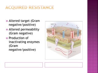  Altered target (Gram
negative/positive)
 Altered permeability
(Gram negative)
 Production of
inactivating enzymes
(Gram
negative/positive)
 