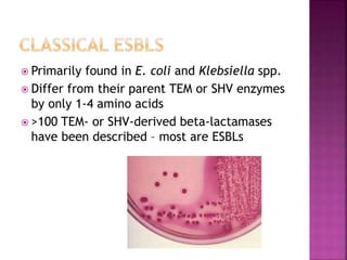  Primarily found in E. coli and Klebsiella spp.
 Differ from their parent TEM or SHV enzymes
by only 1-4 amino acids
 >100 TEM- or SHV-derived beta-lactamases
have been described – most are ESBLs
 