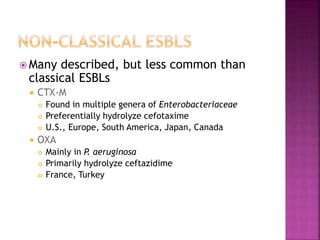  Many described, but less common than
classical ESBLs
 CTX-M
 Found in multiple genera of Enterobacteriaceae
 Preferentially hydrolyze cefotaxime
 U.S., Europe, South America, Japan, Canada
 OXA
 Mainly in P. aeruginosa
 Primarily hydrolyze ceftazidime
 France, Turkey
 