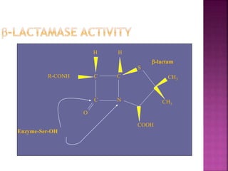 C C
C N
H H
R-CONH
S
COOH
CH3
CH3
O
Enzyme-Ser-OH
-lactam
 