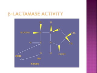 C C
C N
H H
R-CONH
S
COOH
CH3
CH3
O
HO
Ser
Enzyme
HOH
 