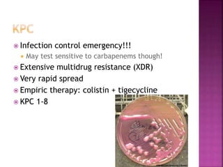  Infection control emergency!!!
 May test sensitive to carbapenems though!
 Extensive multidrug resistance (XDR)
 Very rapid spread
 Empiric therapy: colistin + tigecycline
 KPC 1-8
 