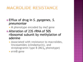  Efflux of drug in S. pyogenes, S.
pneumoniae
 M phenotype encoded by mef gene
 Alteration of 23S rRNA of 50S
ribosomal subunit by methylation of
adenine
 Associated with resistance to macrolides,
lincosamides (clindamycin), and
streptogramin type B (MLSB phenotype)
 ermB gene
 